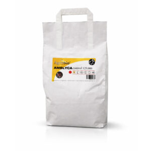 AMBLYCA control (Neoseiulus californicus) – zwalczanie przędziorków