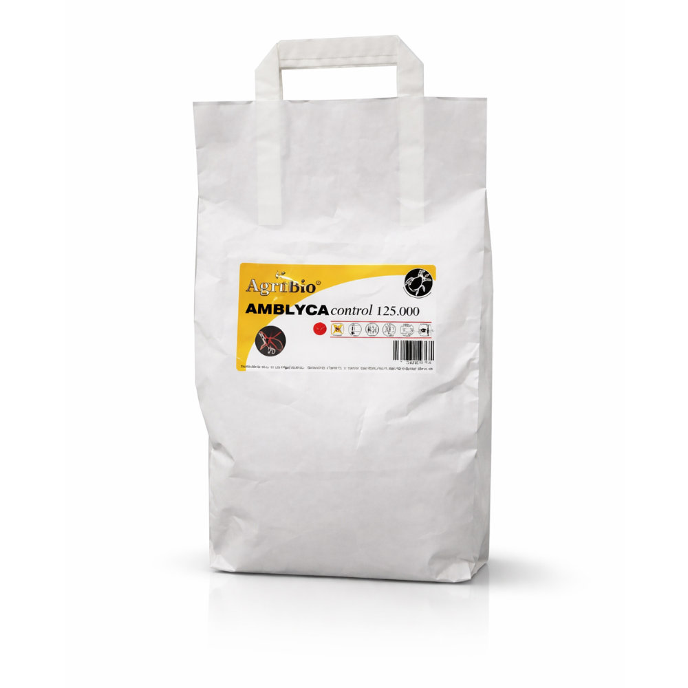 AMBLYCA control (Neoseiulus californicus) – zwalczanie przędziorków