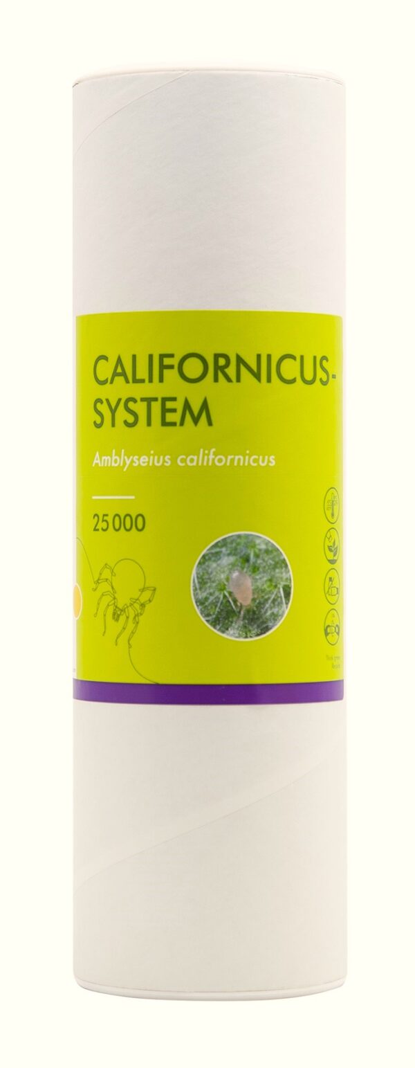 Californicus-System - zwalczanie przędziorków