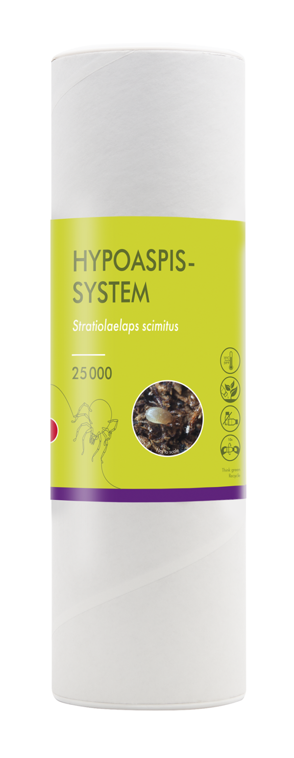 Hypoaspis - System - zwalczanie ziemiórek - obrazek 5