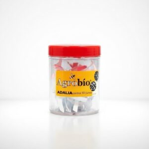 ADALIAcontrol (Adalia bipunctata) – zwalczanie mszyc